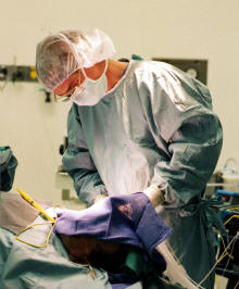 Kevin T Kavanagh, MD - ENT Surgeon
